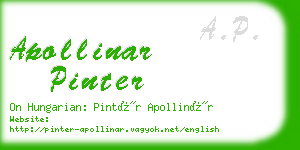 apollinar pinter business card